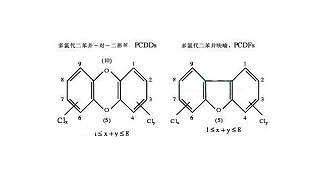 从源头上拒绝剧毒二噁英污染